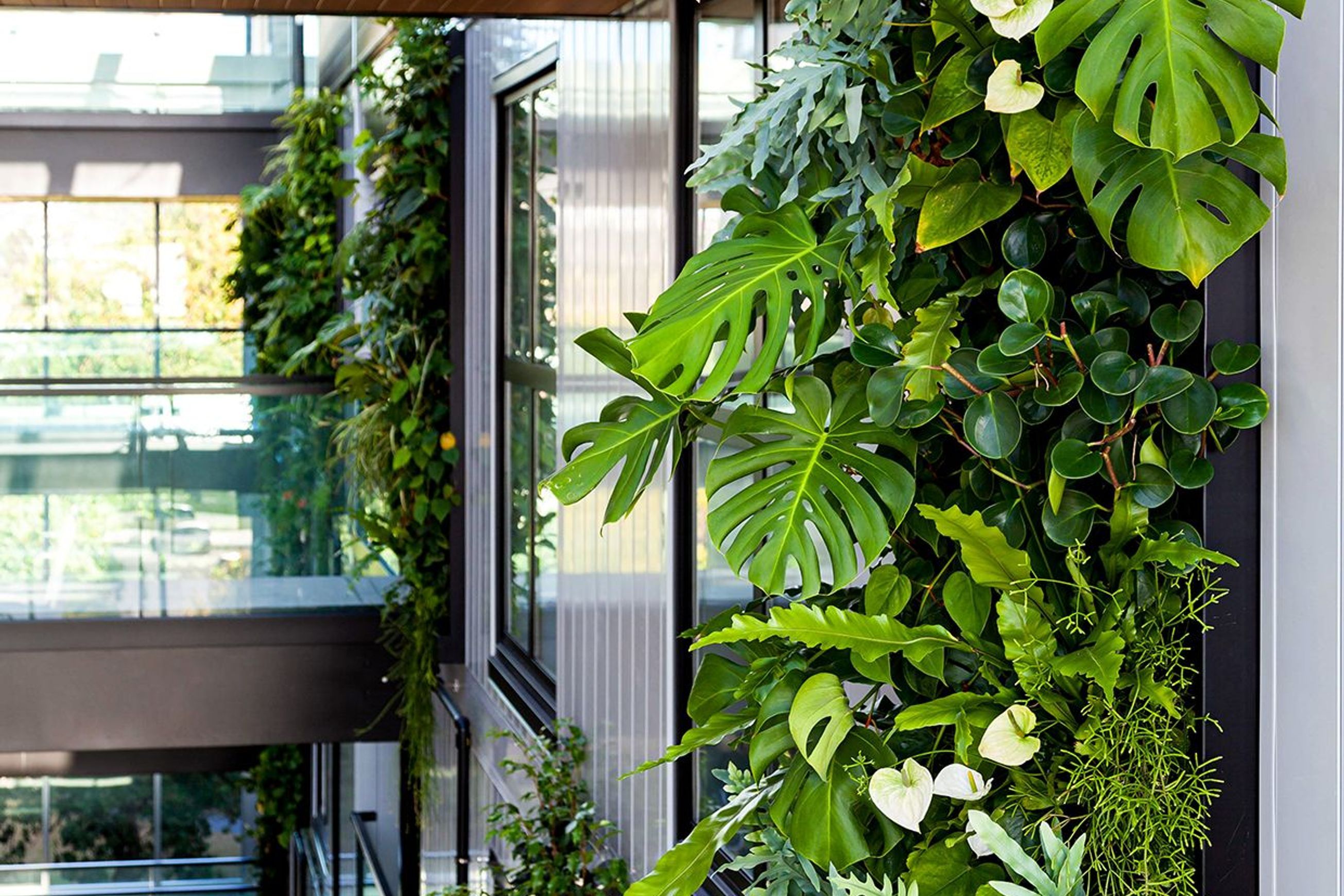 Green Walls | GreenAir