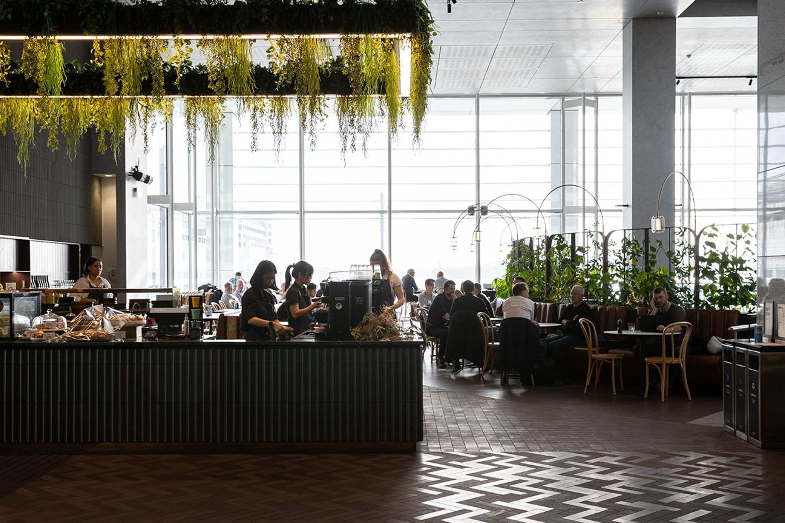 Suspended Plantscapes | GreenAir