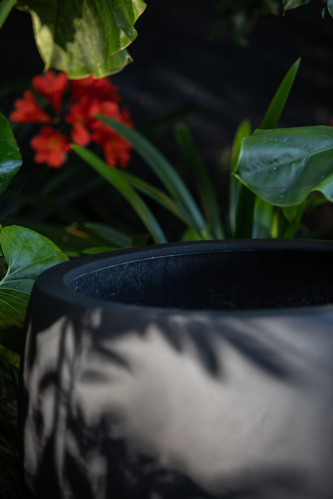 Franoma - Amarillo Planter