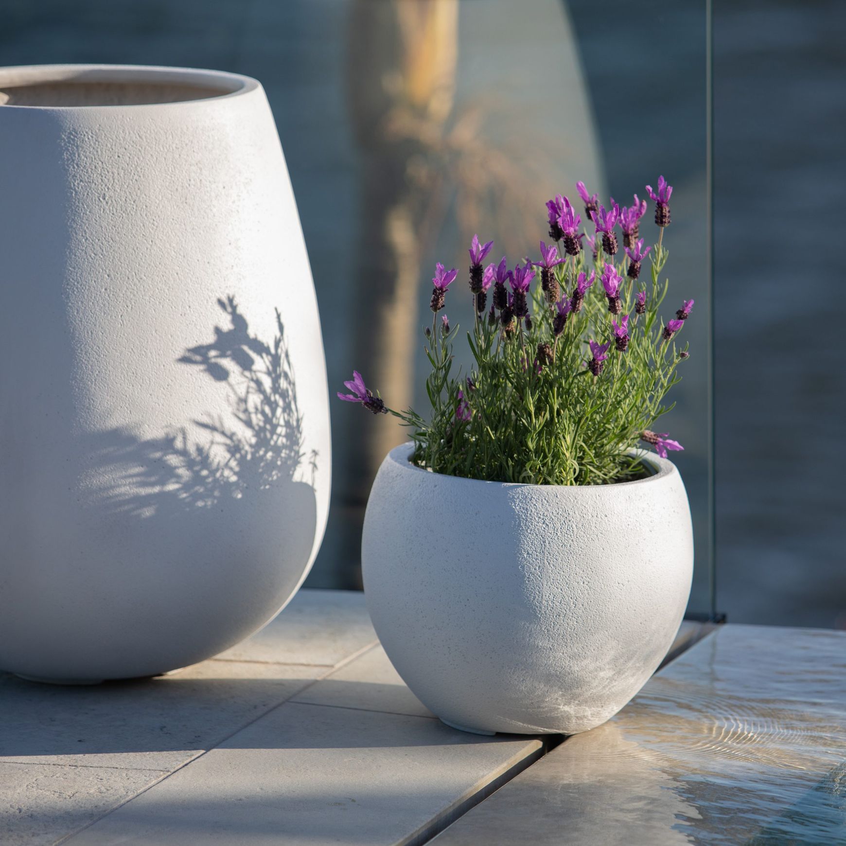 Franoma - Hamilton Planter