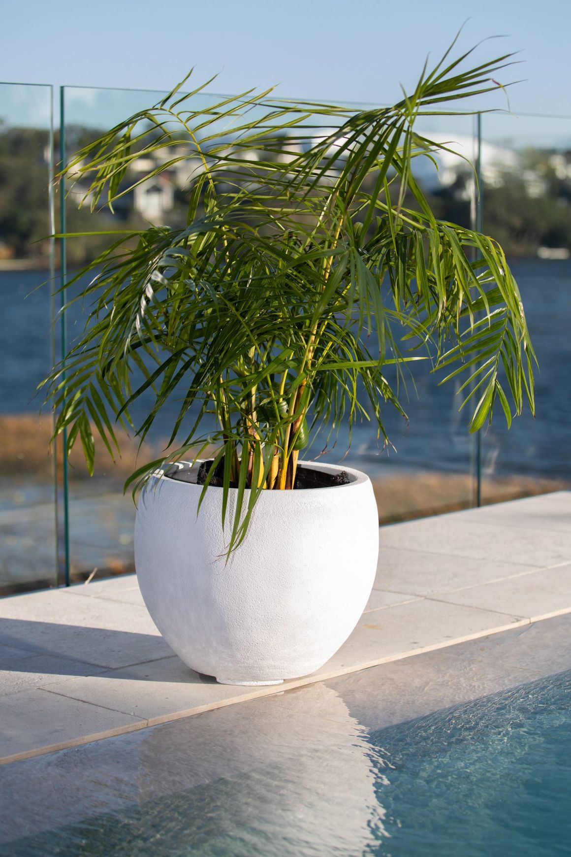 Franoma - Hamilton Planter