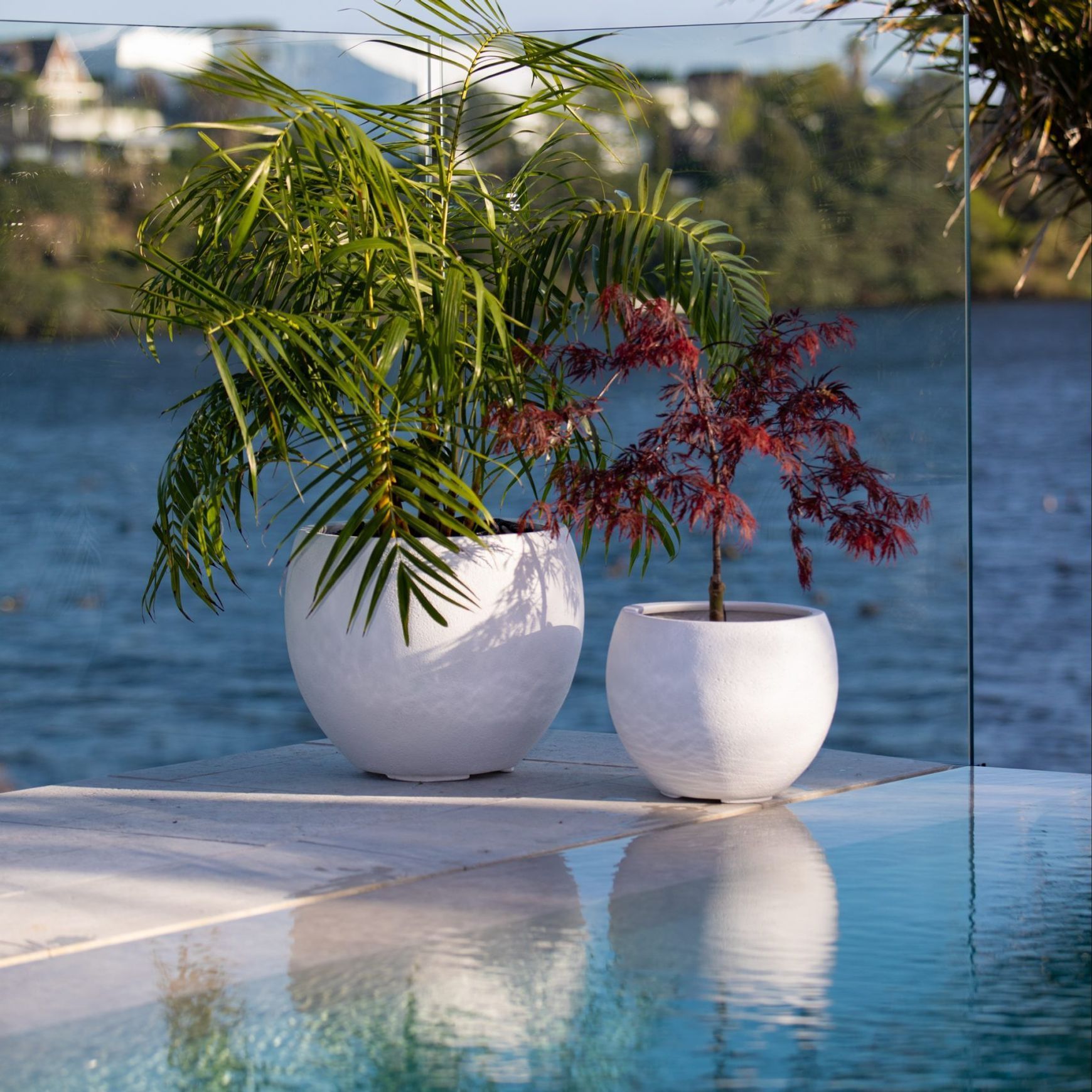 Franoma - Hamilton Planter