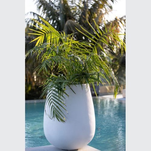 Franoma - Savona Planter
