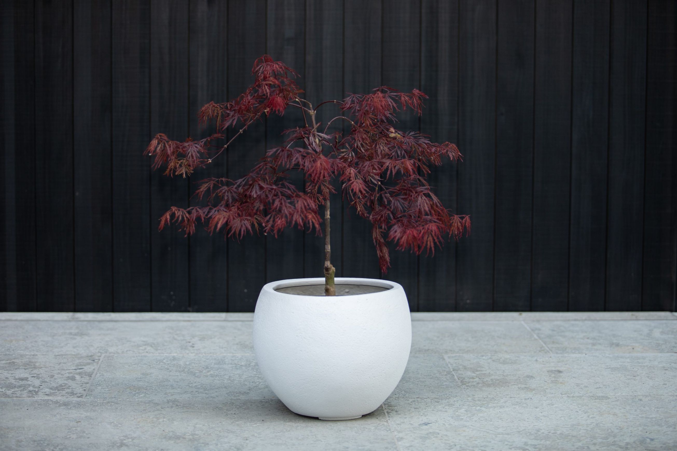 Franoma - Hamilton Planter