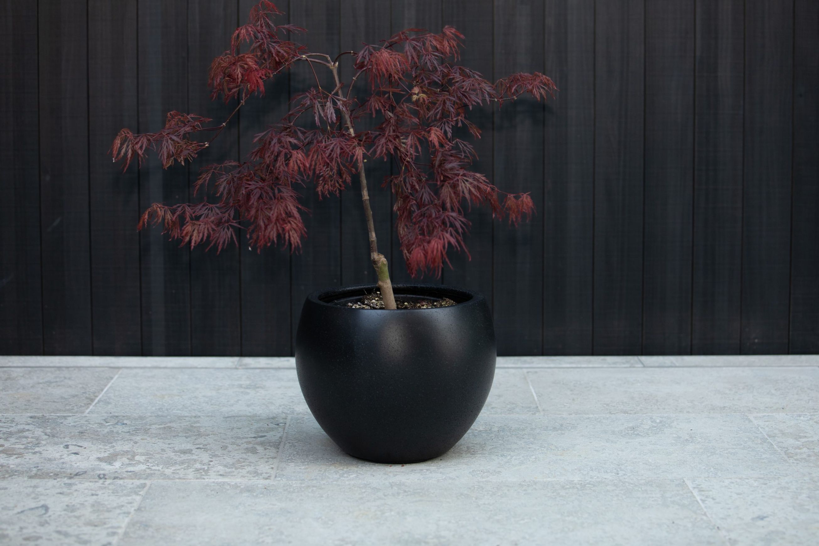 Franoma - Hamilton Planter