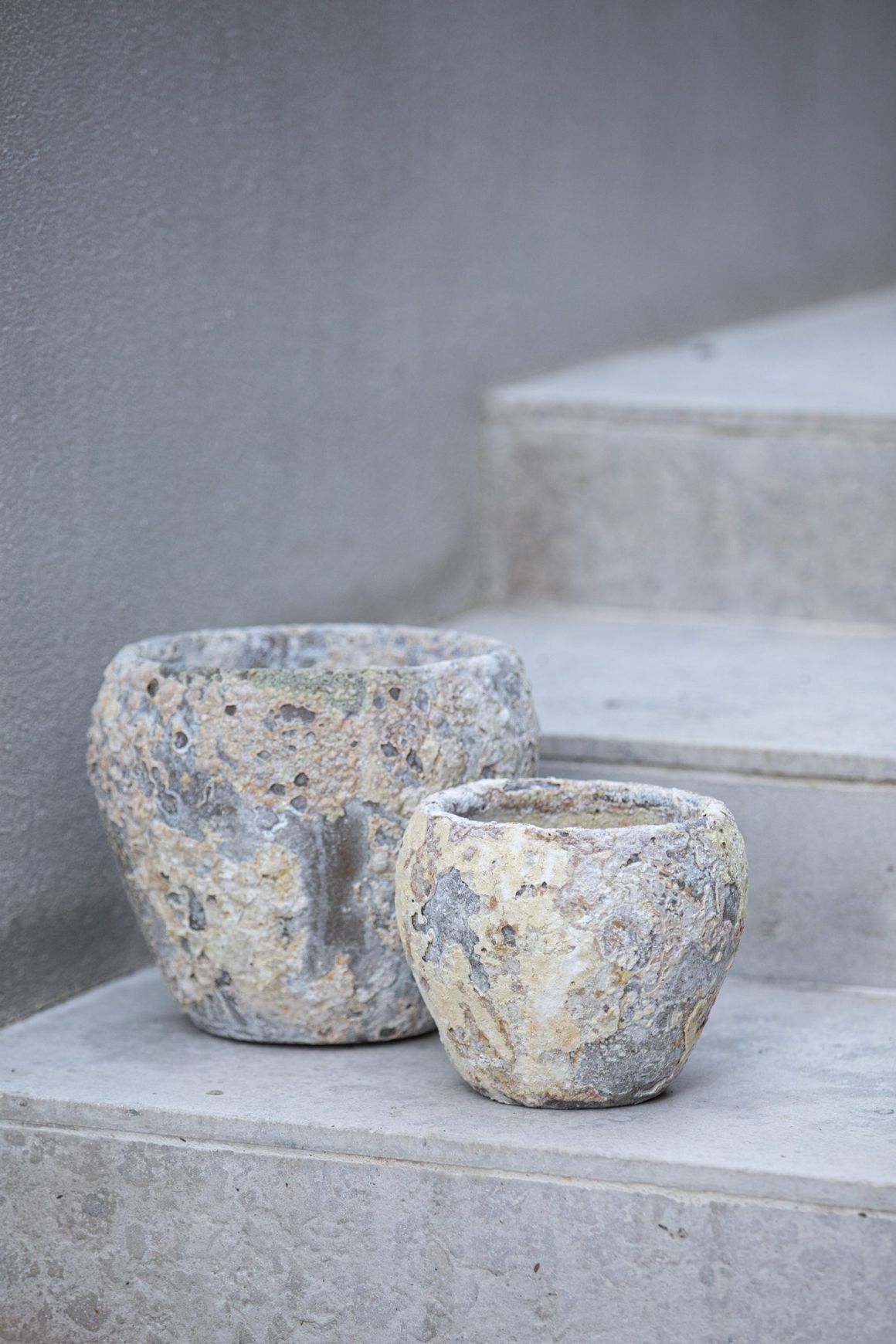 Atlantis - Juliet Planter