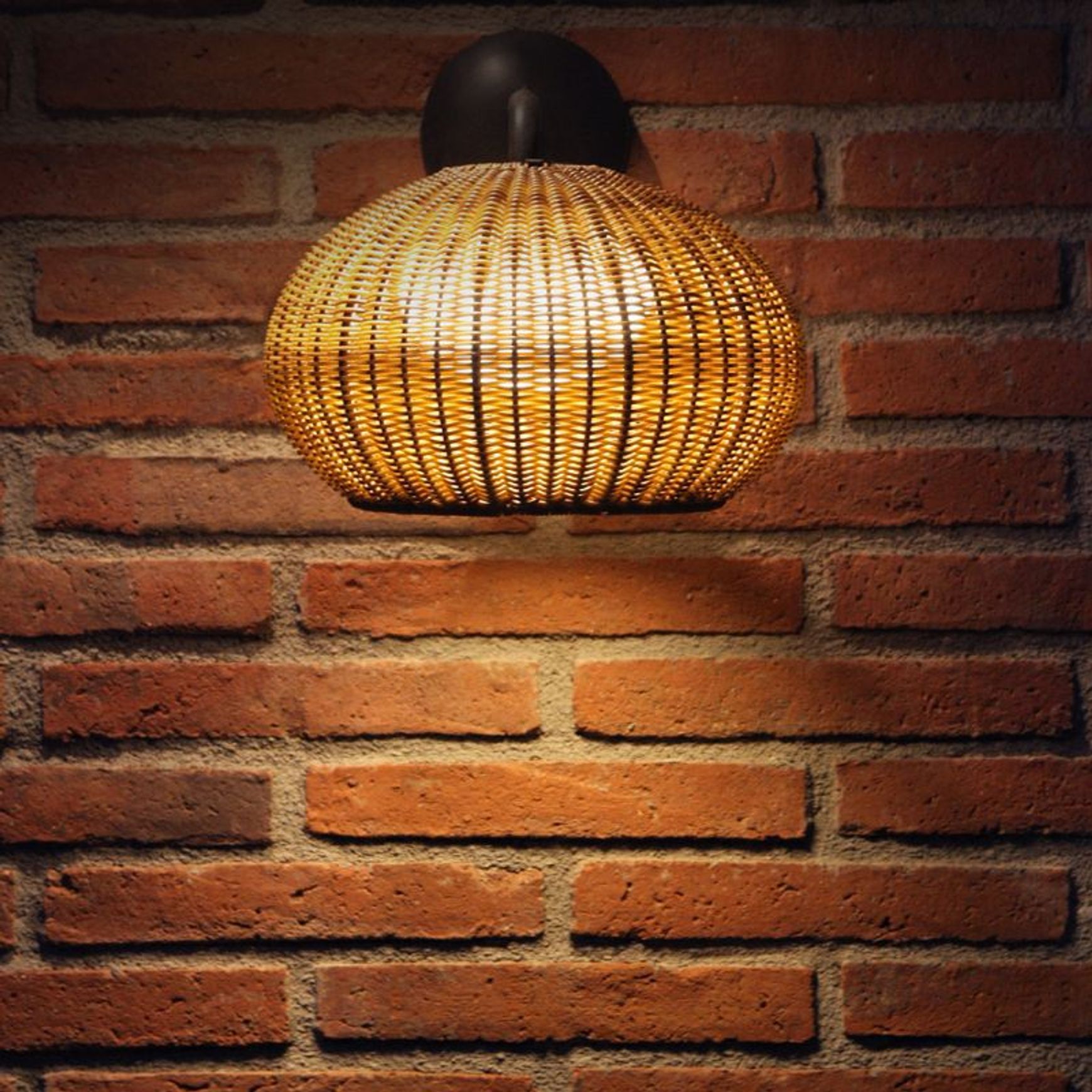 Garota A01 Wall Light