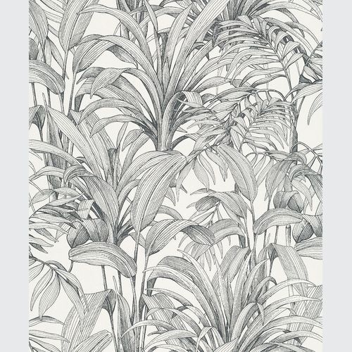 Asperia Wallpaper (No. A51401)