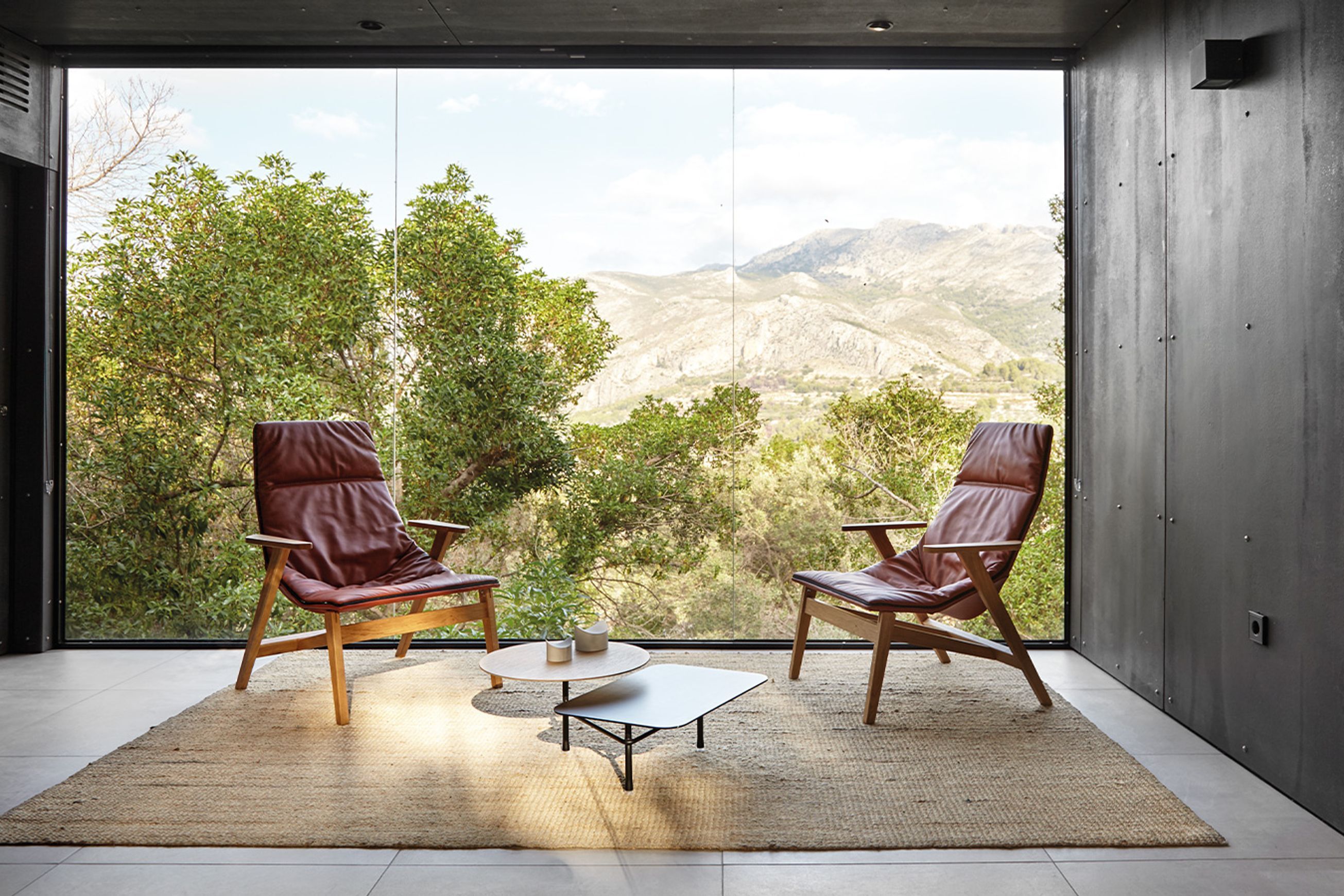 Ace Armchair - Wooden Base with Arms