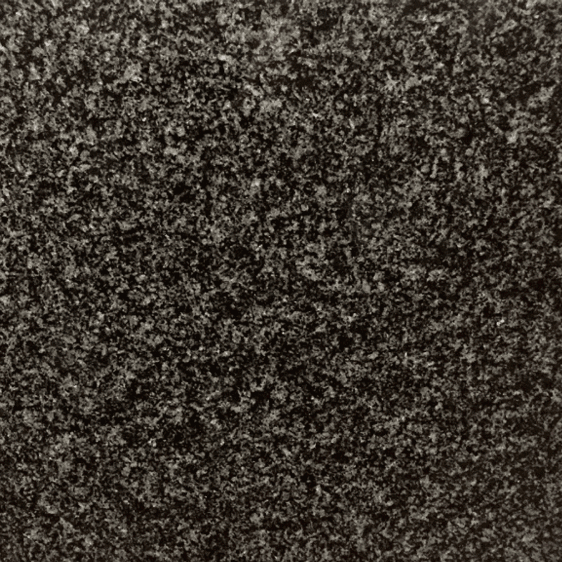 Africa Grey