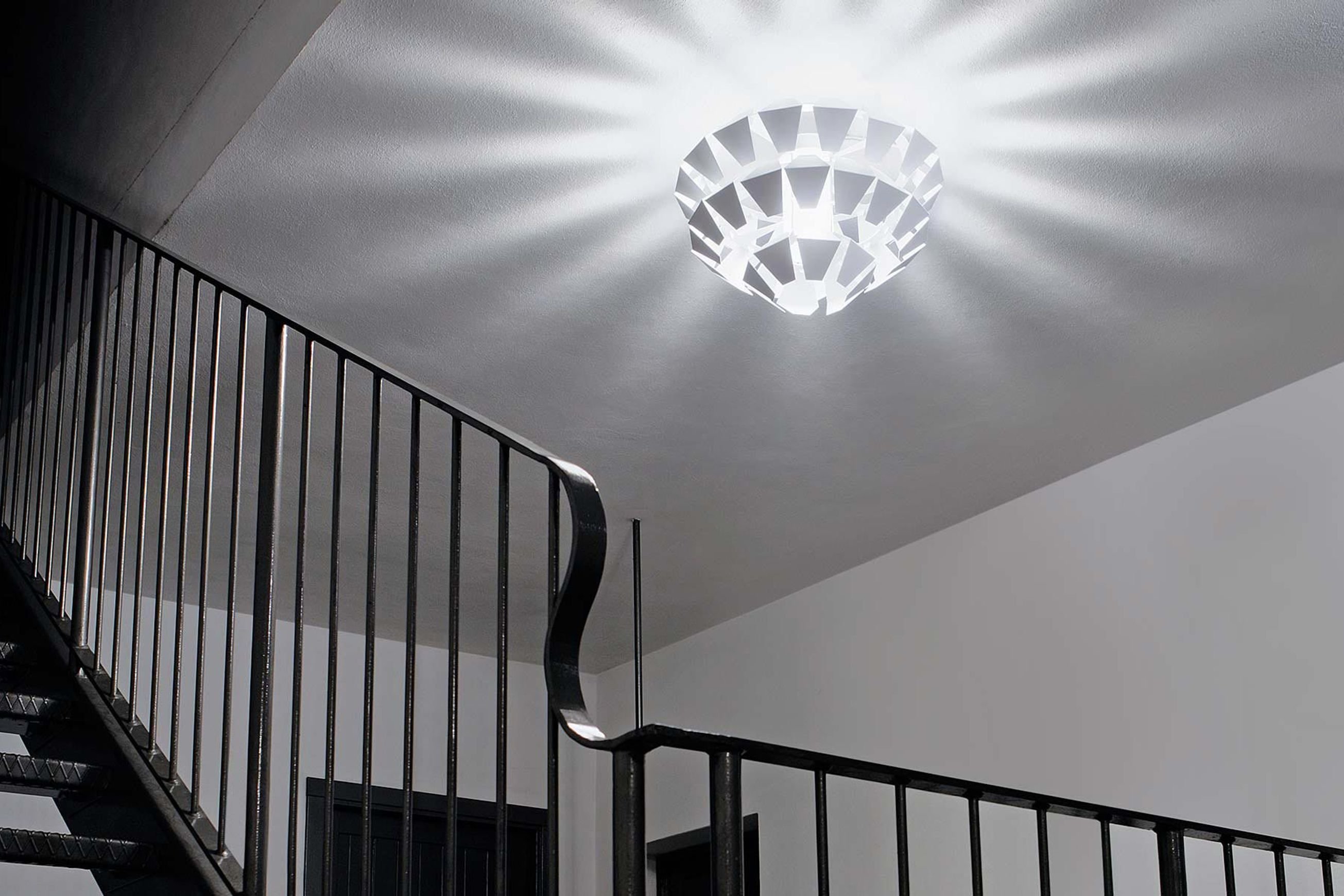Agave Ceiling and Wall Light