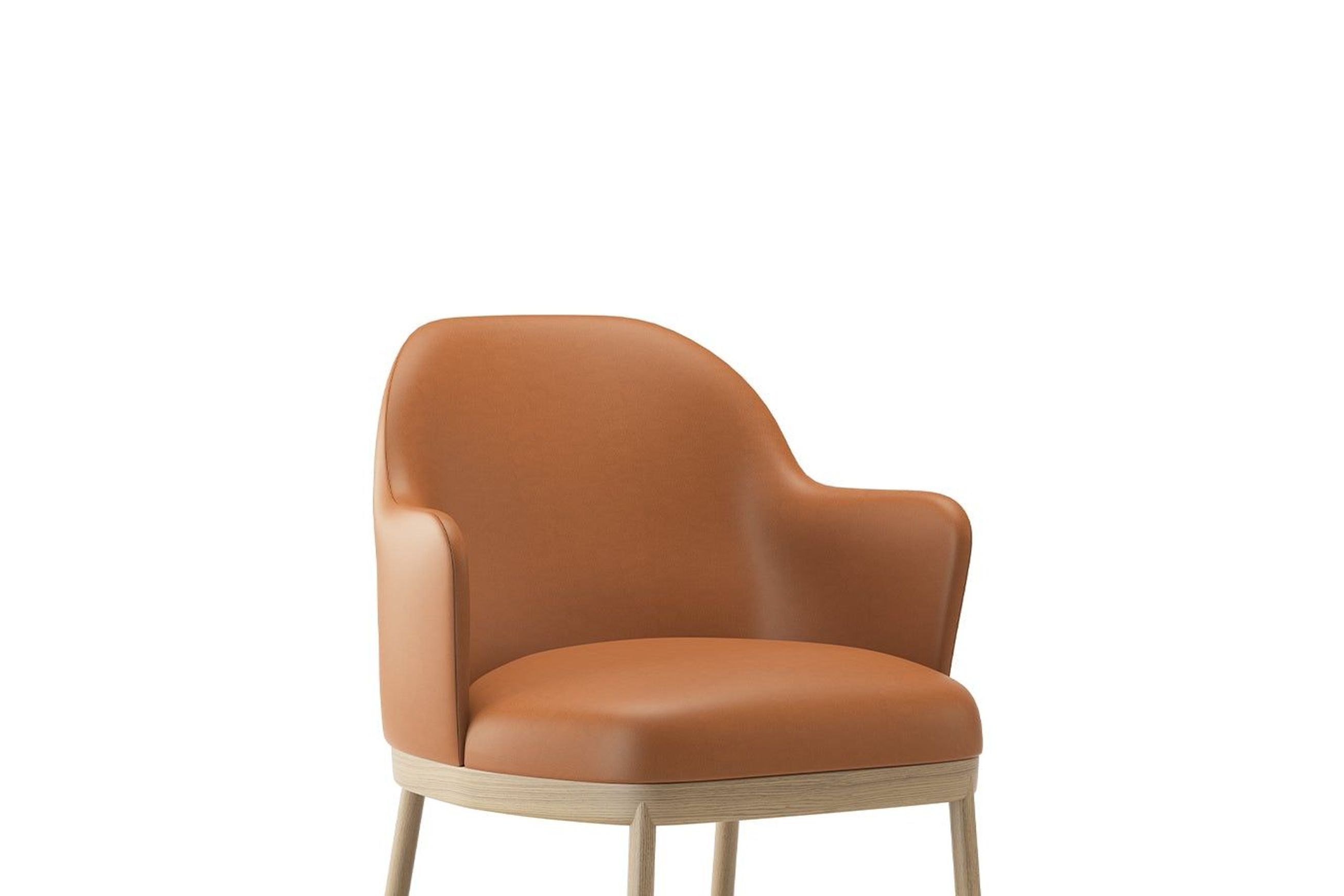 Aleta Lounge Chair - Wooden Base with Arms