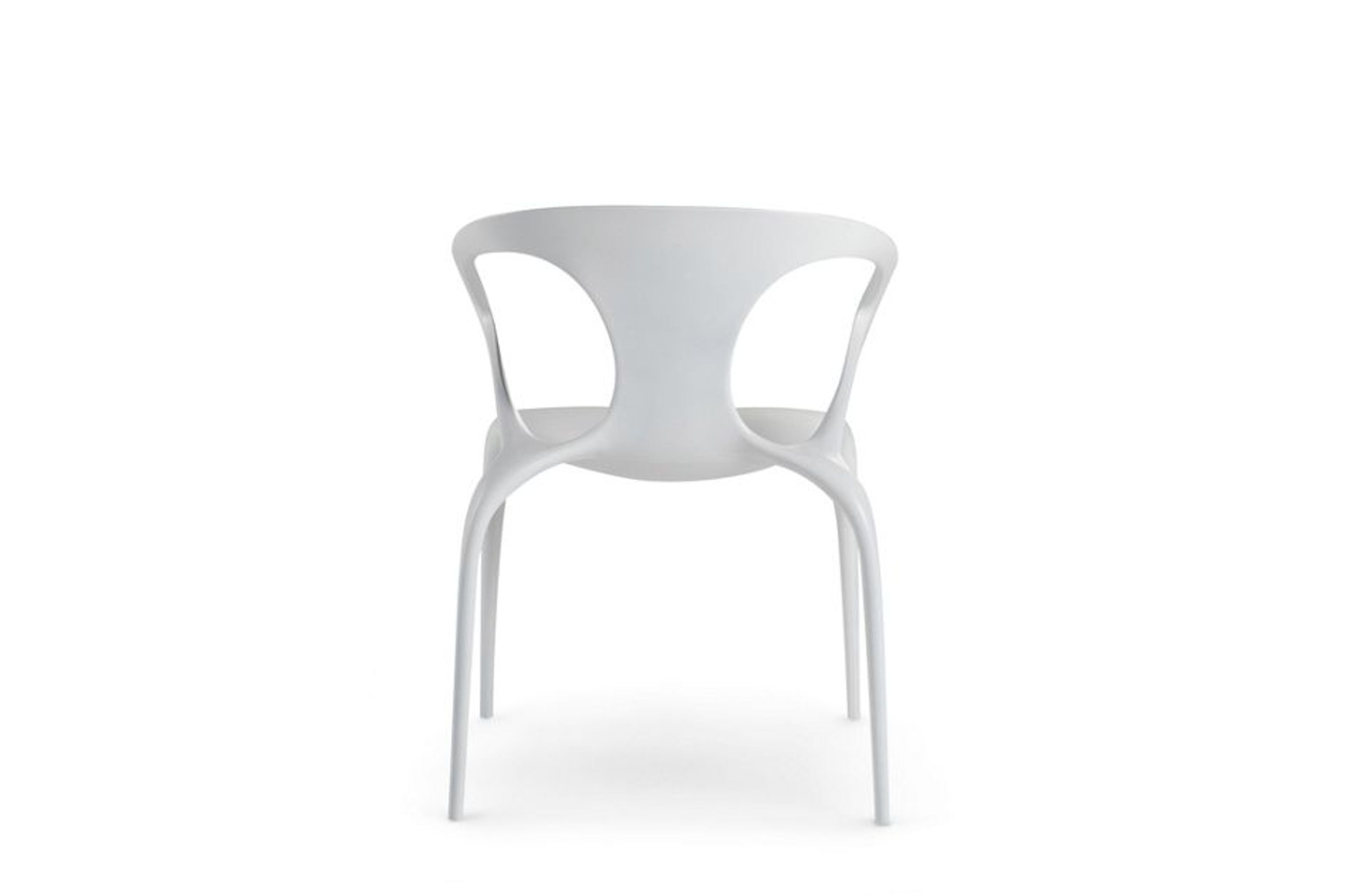 Ava Dining Chair