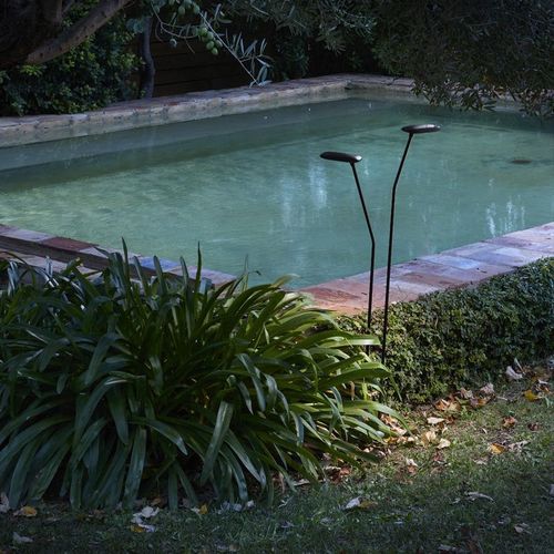 Birdie 2-Light Set Garden Light