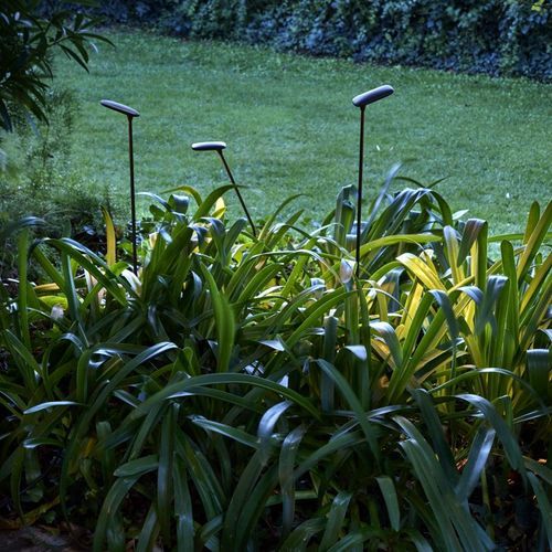 Birdie 2-Light Set Garden Light