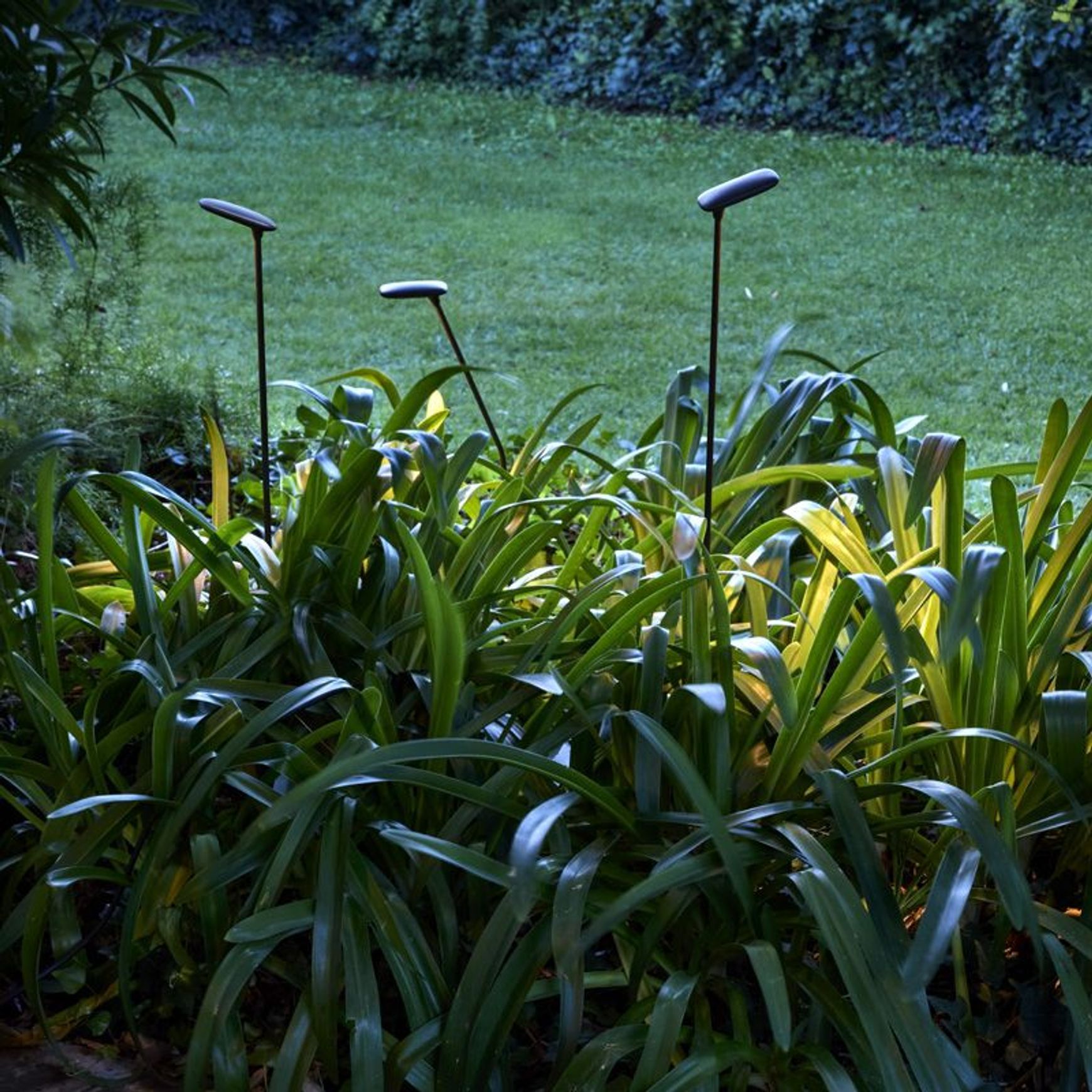 Birdie Single Set Garden Light