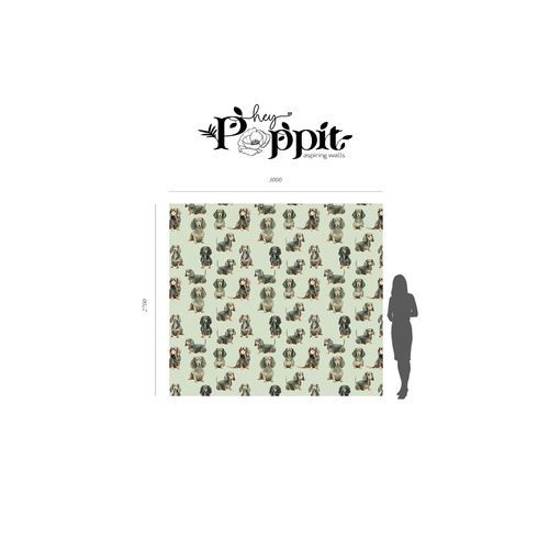 Hey Poppit Wallpaper No. Banjo