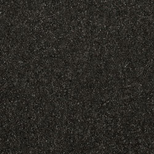 Bengal Black