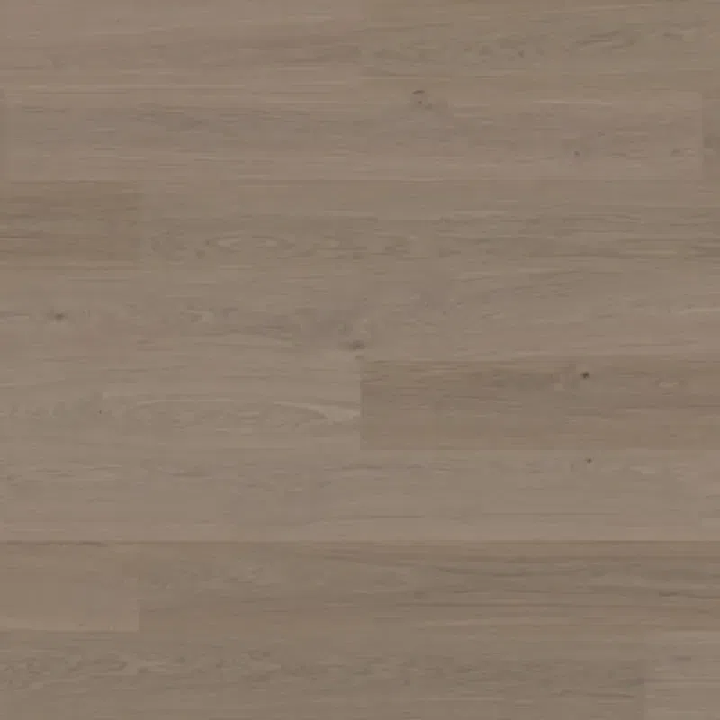 Bjelin S 151 Earth Grey | Blend