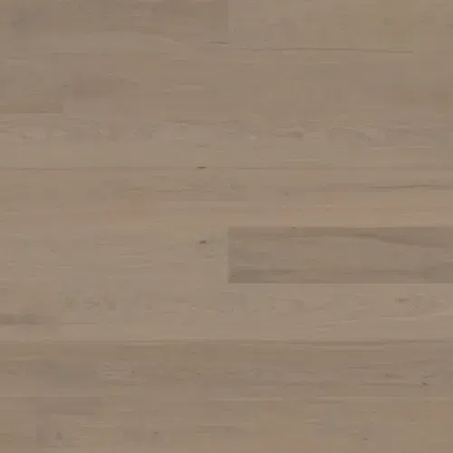 Bjelin XL 206 Earth Grey | Nature Grade