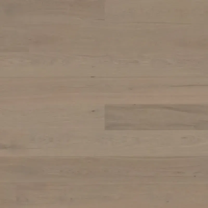 Bjelin XL 206 Earth Grey | Nature Grade