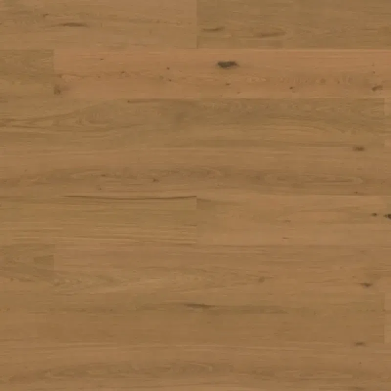 Bjelin XL 206 Honey | Nature Grade