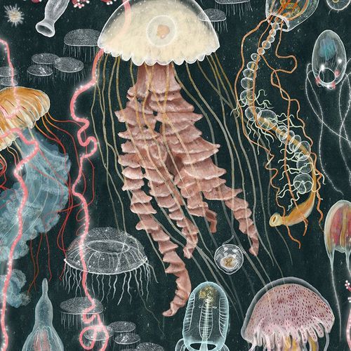 Designer Collective (No. 66135)