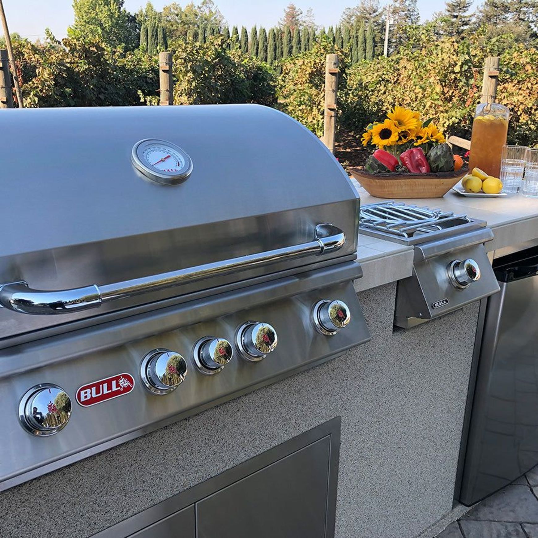 Bull Angus 76cm Drop In Grill - Head Only