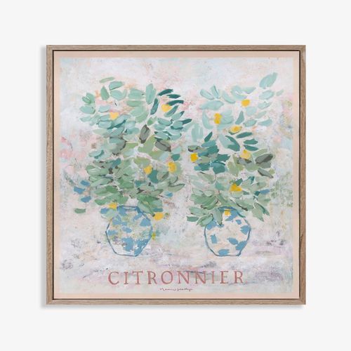 Citronnier - Limited Edition Print