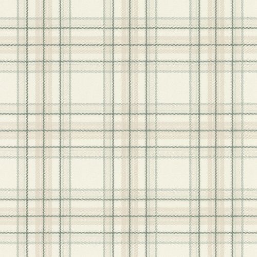 Curiosity Wallpaper (No. 537437)