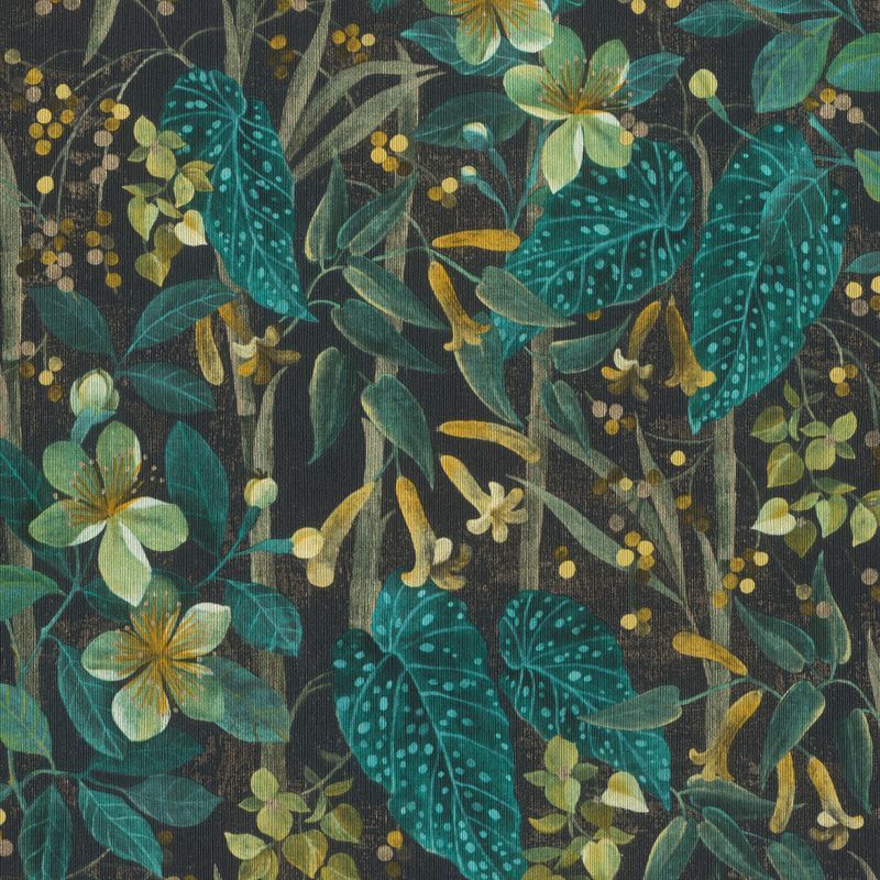 Curiosity Wallpaper (No. 538243)