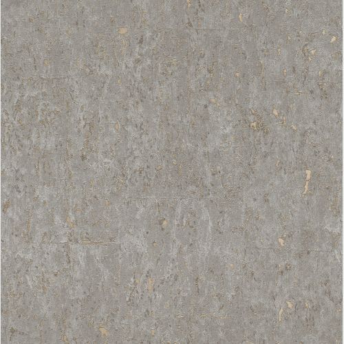 Curiosity Wallpaper (No. 538342)