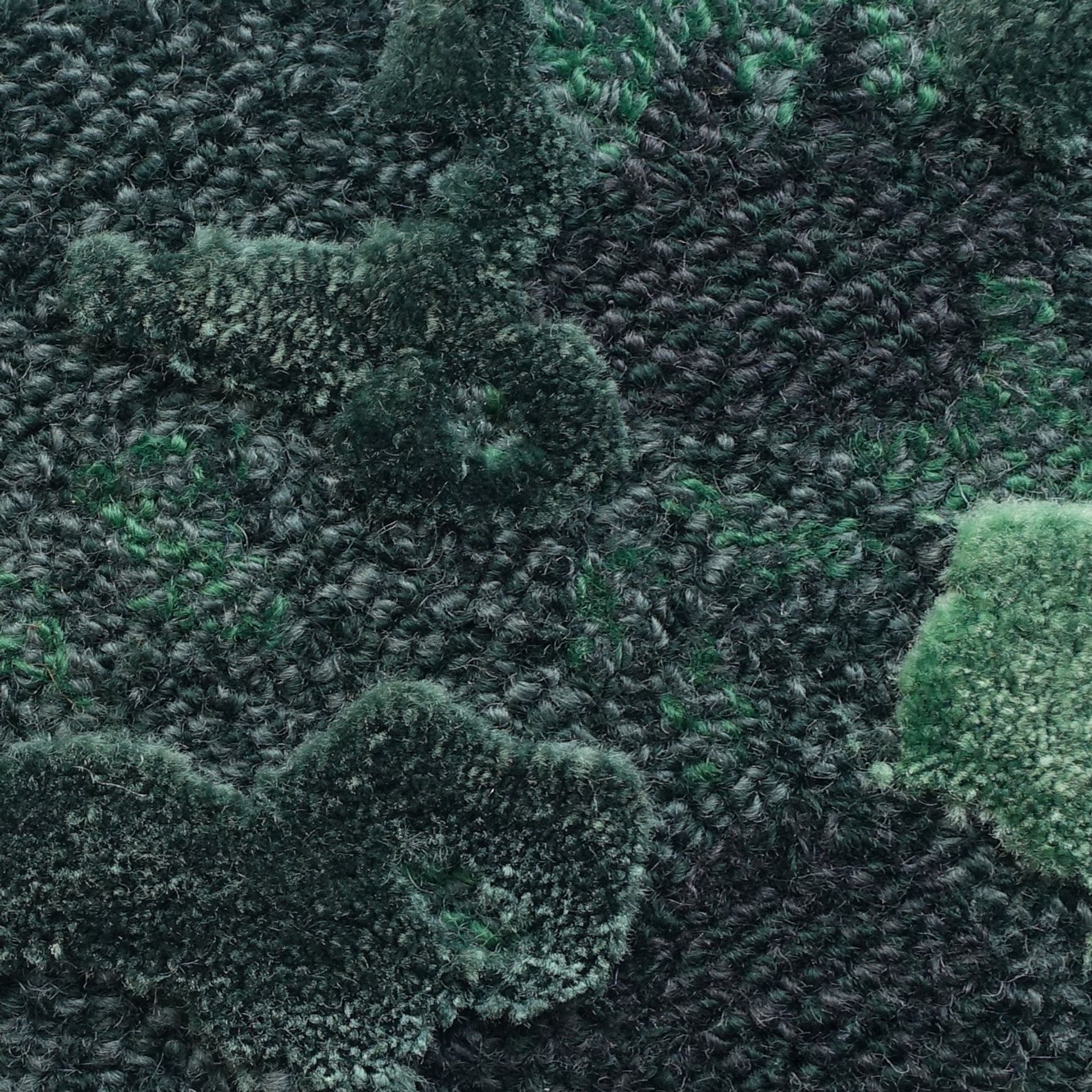 Tapis Absolute