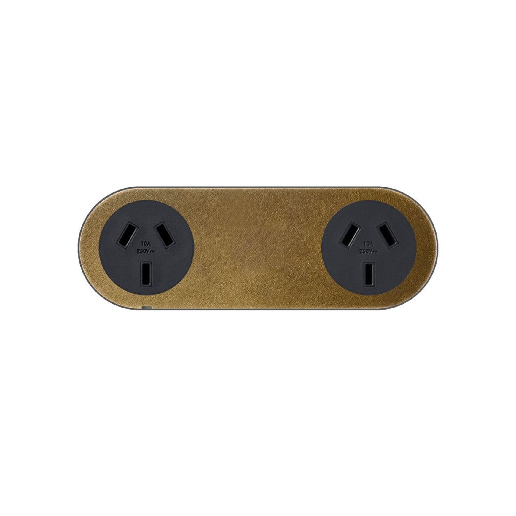 13 Carbon Double Outlet Faceplate