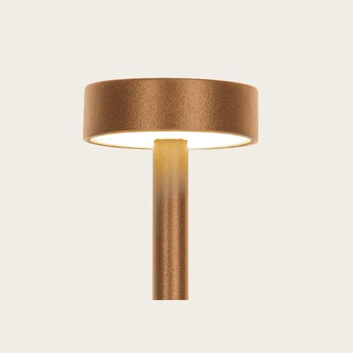 Xander IP65 Spike Light