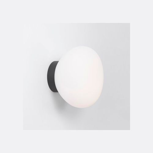 Egg Wall / Ceiling Light