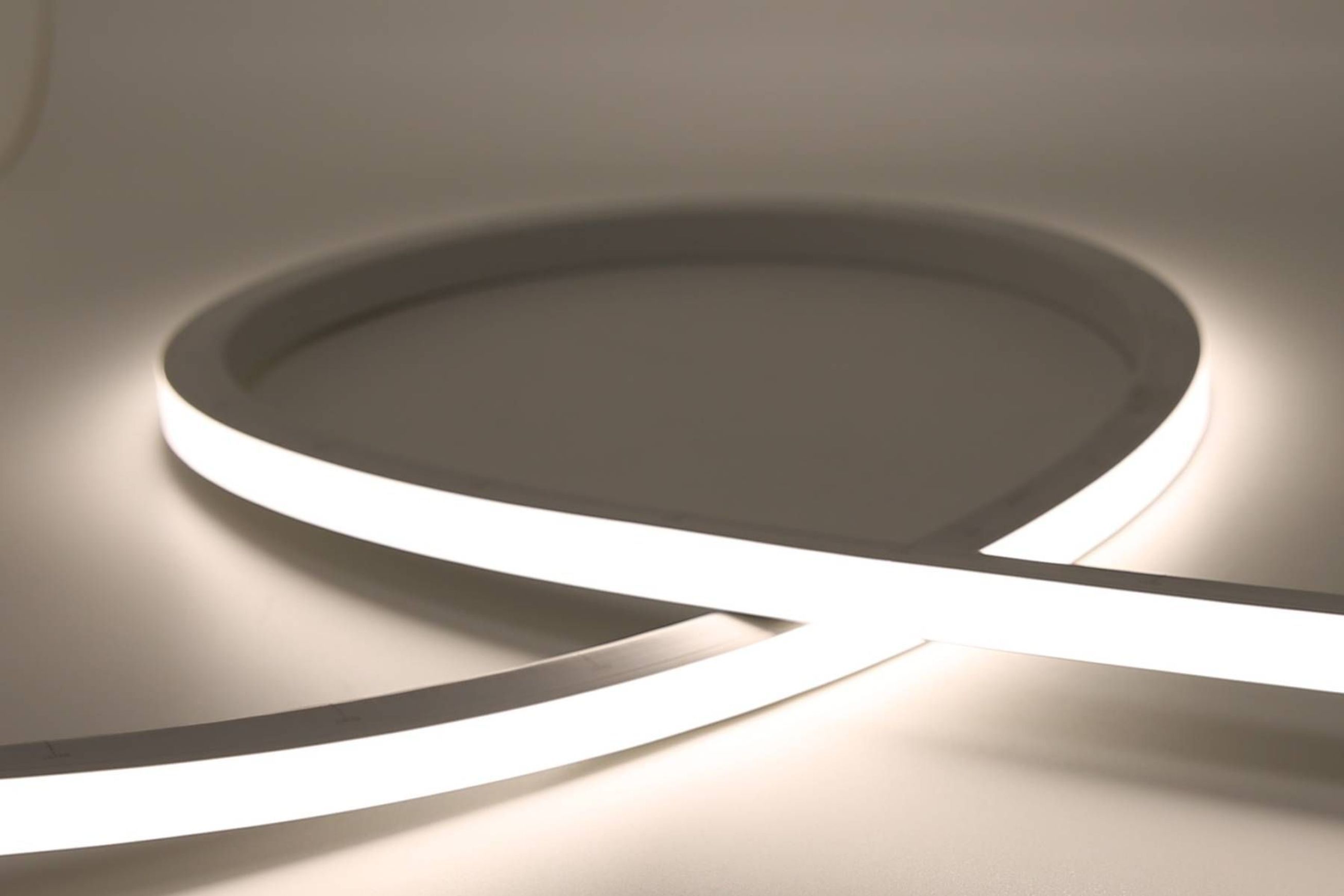 Mamba Snake Light