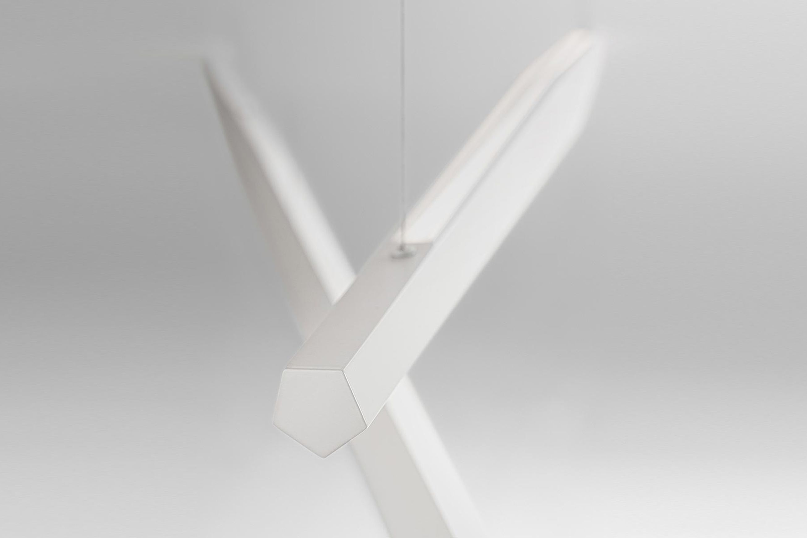 Viisi Suspension & Floor Lamp