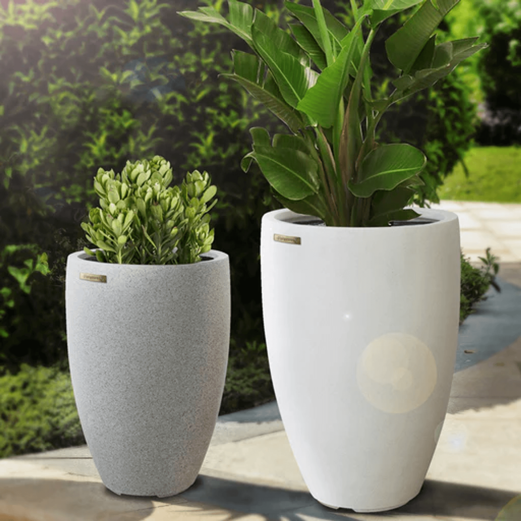 Franoma - Tampa Planter