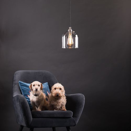 Frieda Glass Pendant - Clear