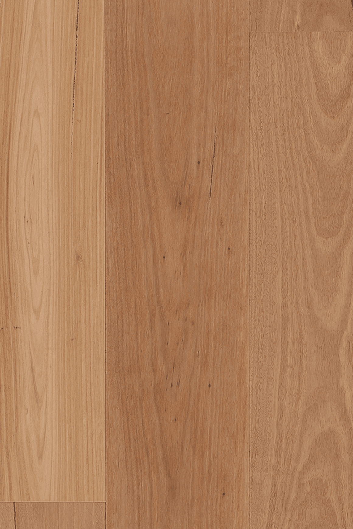Blackbutt Chalk | Maison Engineered Flooring