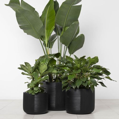 Gothenburg Lined Cylinder