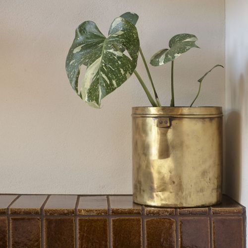 Antique Brass Planter