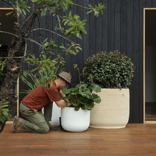 Handthrown Terracotta Coil