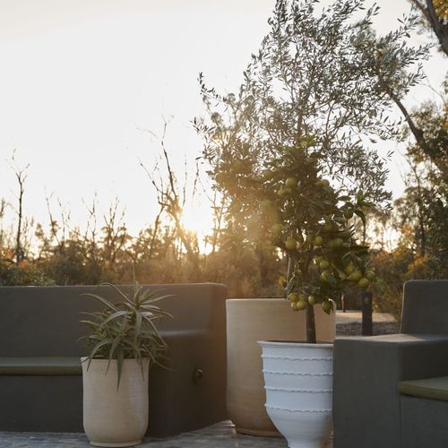 Handthrown Terracotta Cylinder