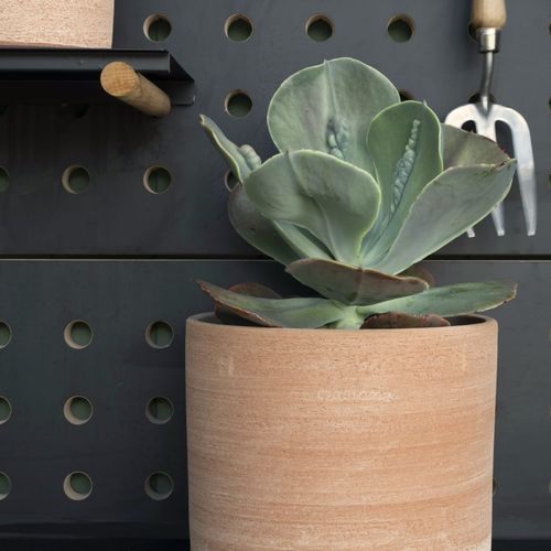 Terracotta Luna Cylinder