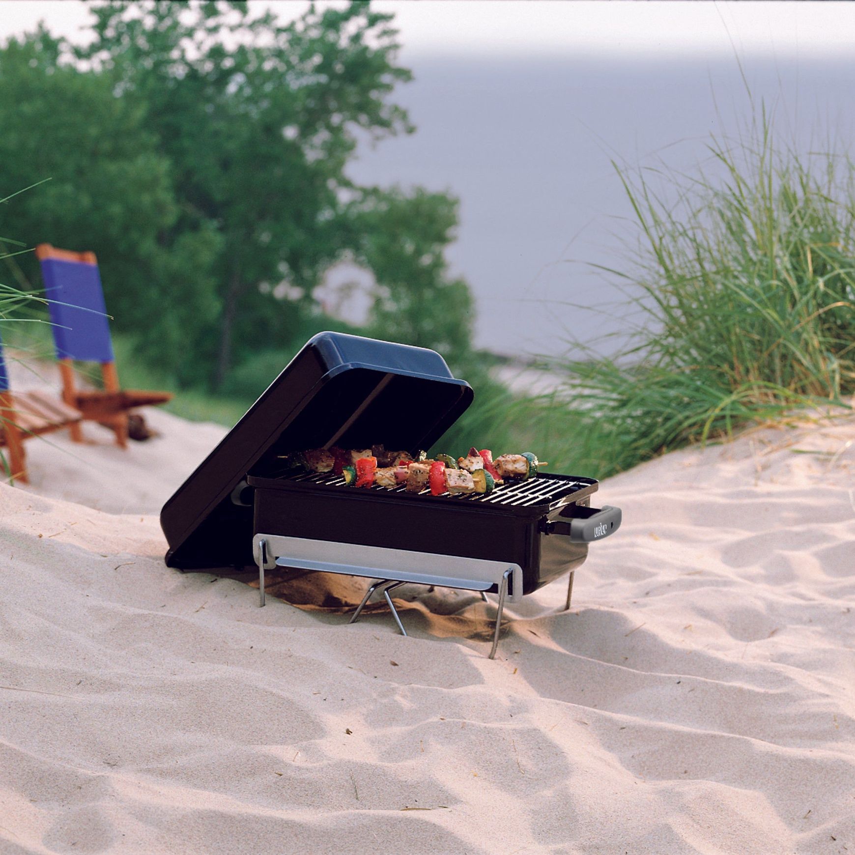 Weber Go Anywhere Black