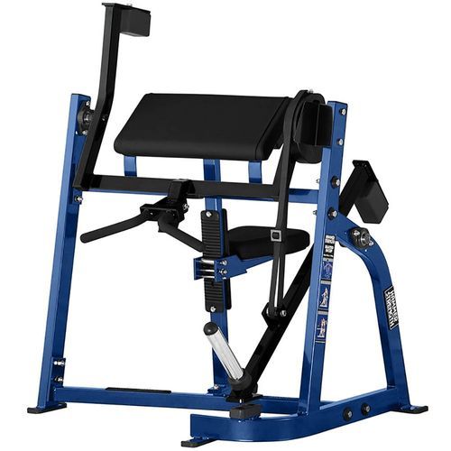 Seated Biceps