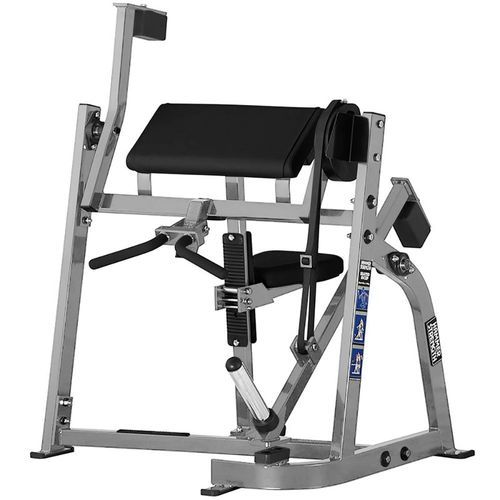 Seated Biceps
