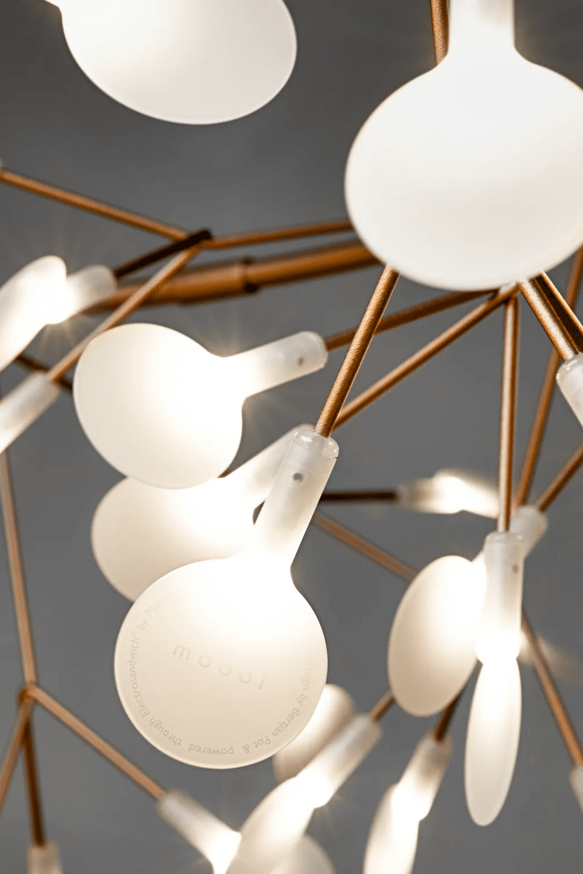 Heracleum III Large by Moooi